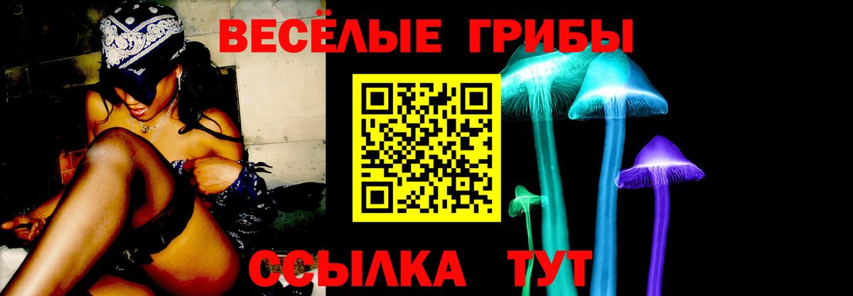 Псилоцибиновые грибы мицелий  Псилоцибиновые грибы MAGIC MUSHROOMS  Кировск  Вход с VPN 